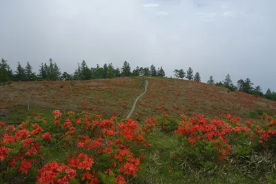 Mount Amari