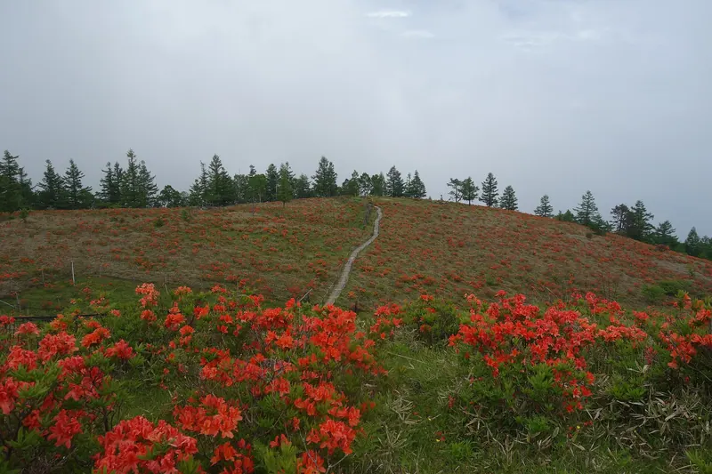 Mount Amari