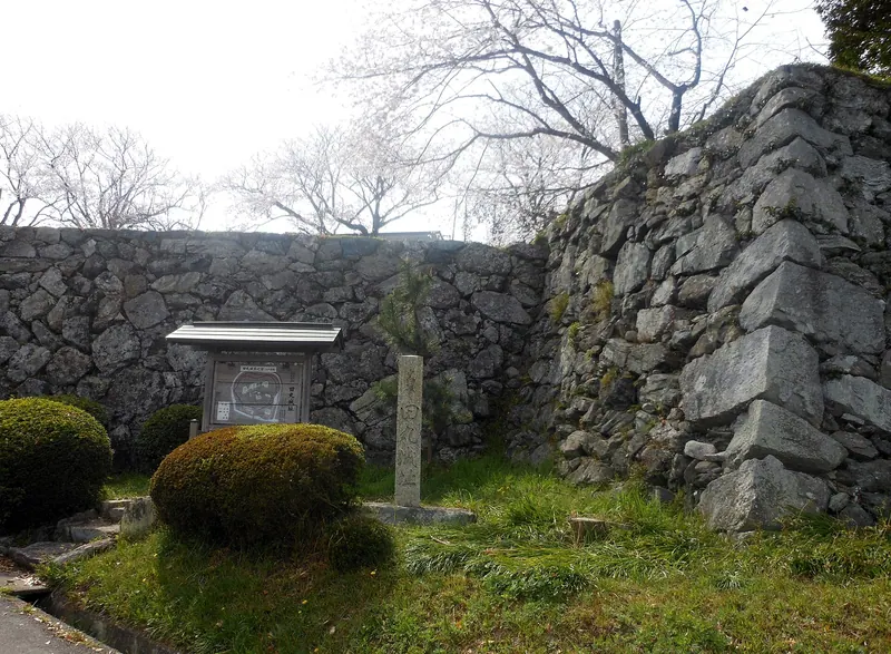 Tamaru Castle