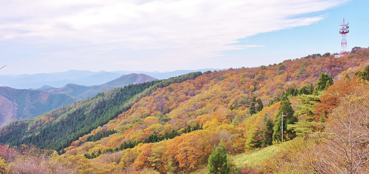 Mount Tatsugane