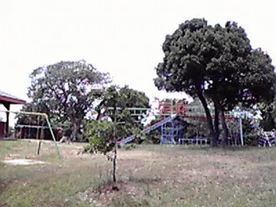 Mount Tomo