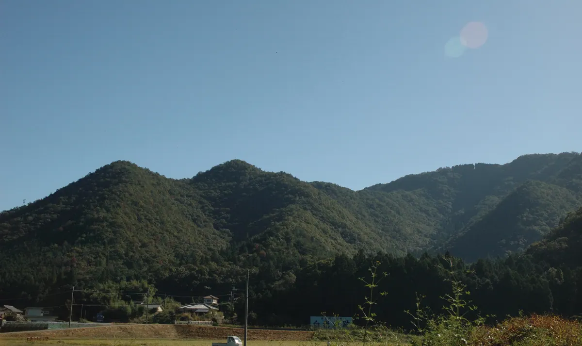 Shirahata Castle