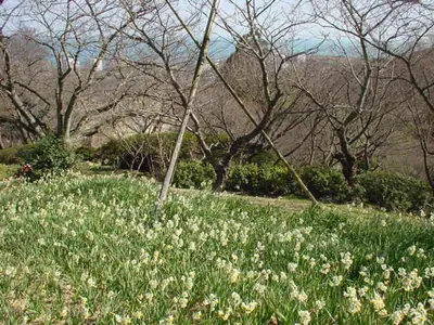 Shiranoe Botanical Gardens