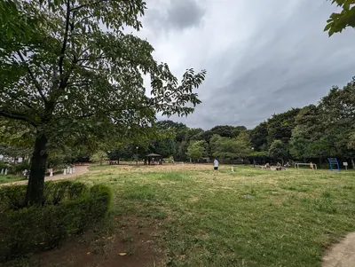 Shirokanedai Donguri Children's Amusement Park