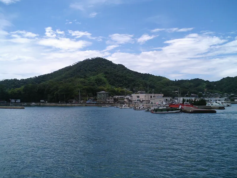 Momo Island