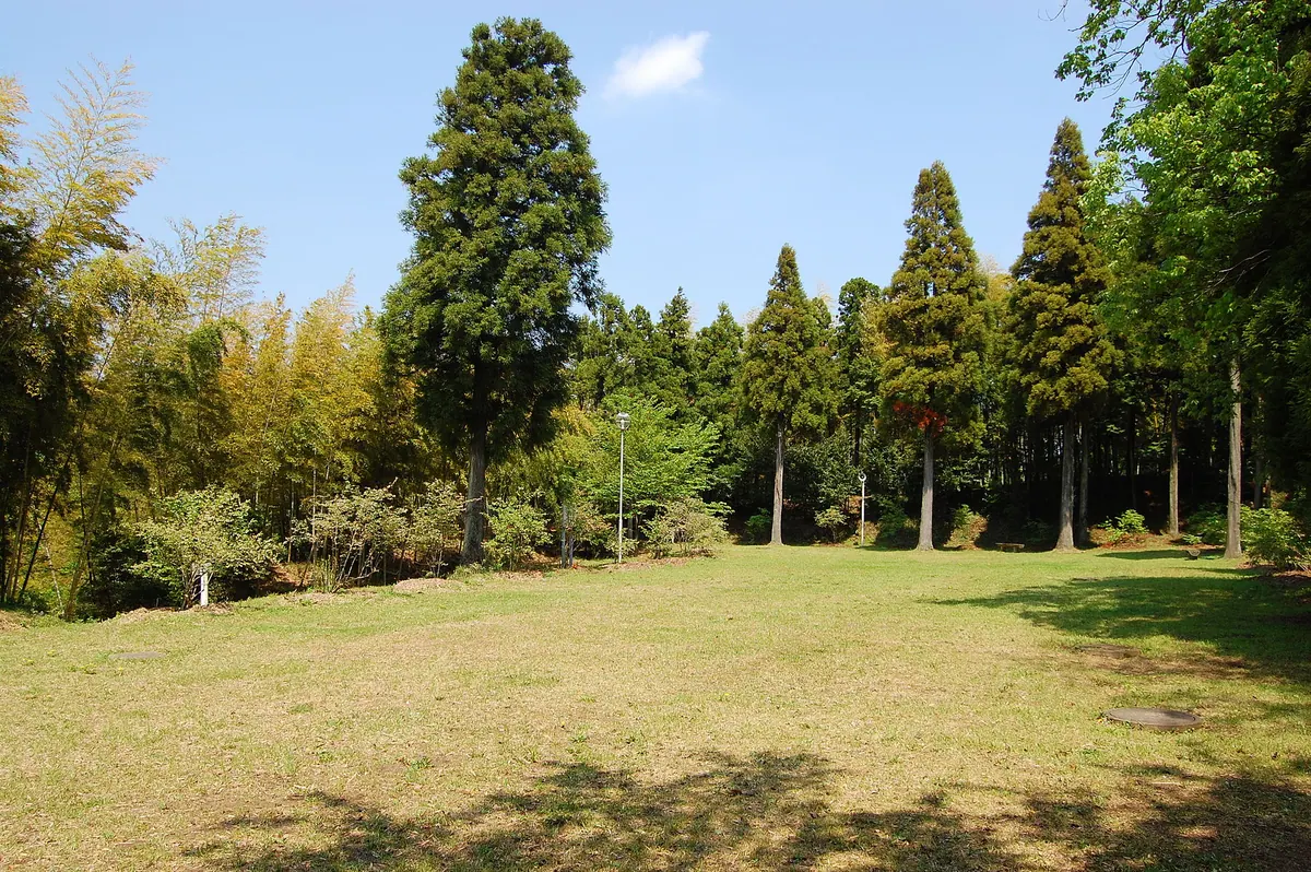 Mariyatsu Castle