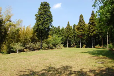 Mariyatsu Castle