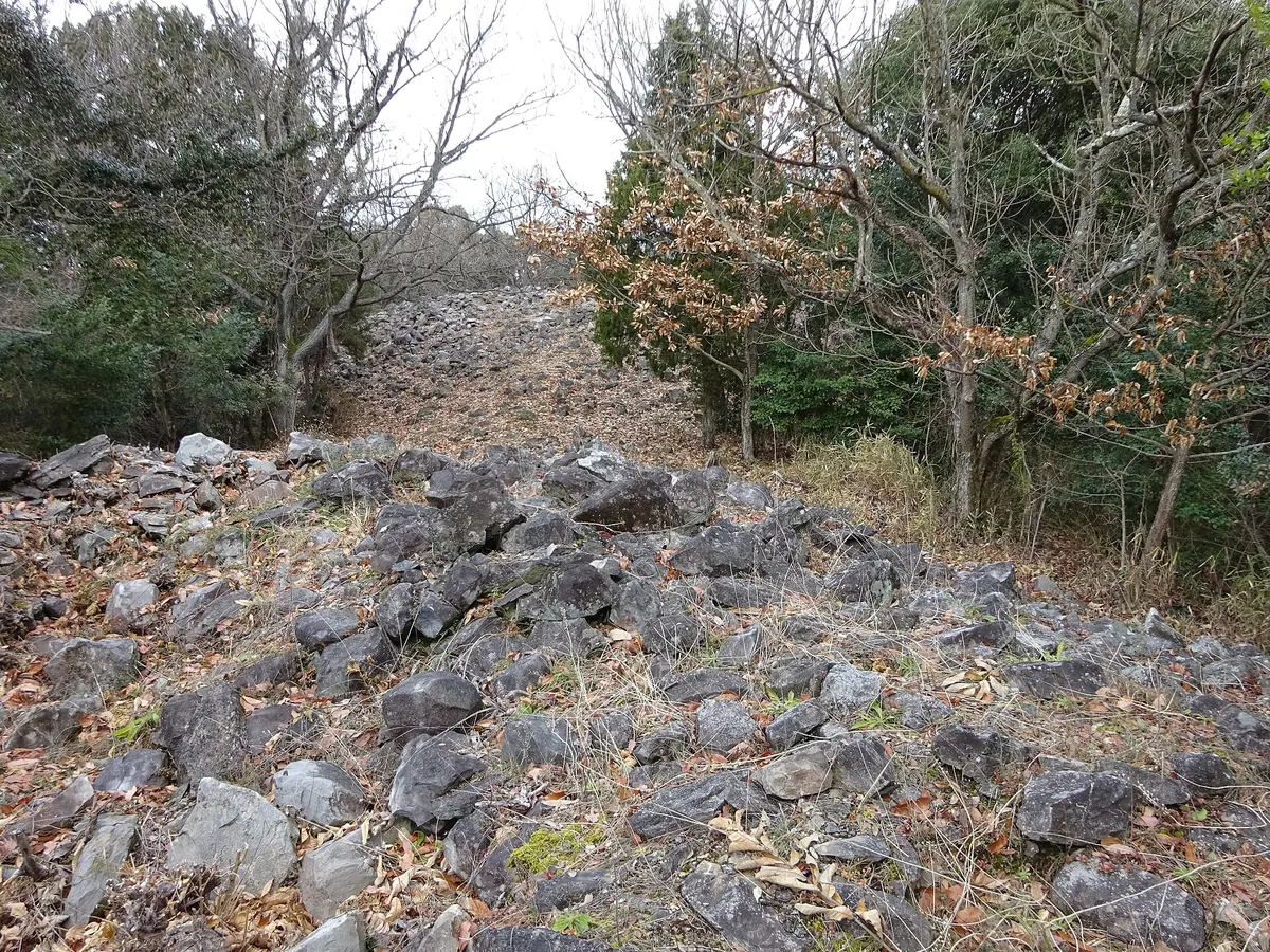 Iwaseoyama Kofun Cluster