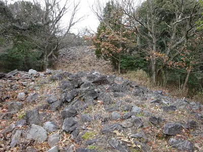 Iwaseoyama Kofun Cluster