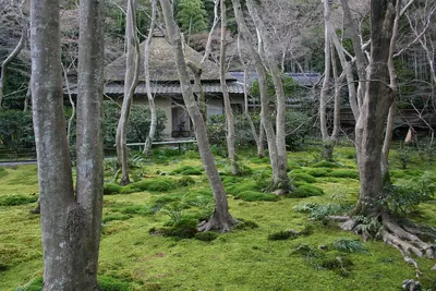 Giō-ji