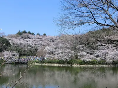 Mitsuike Park