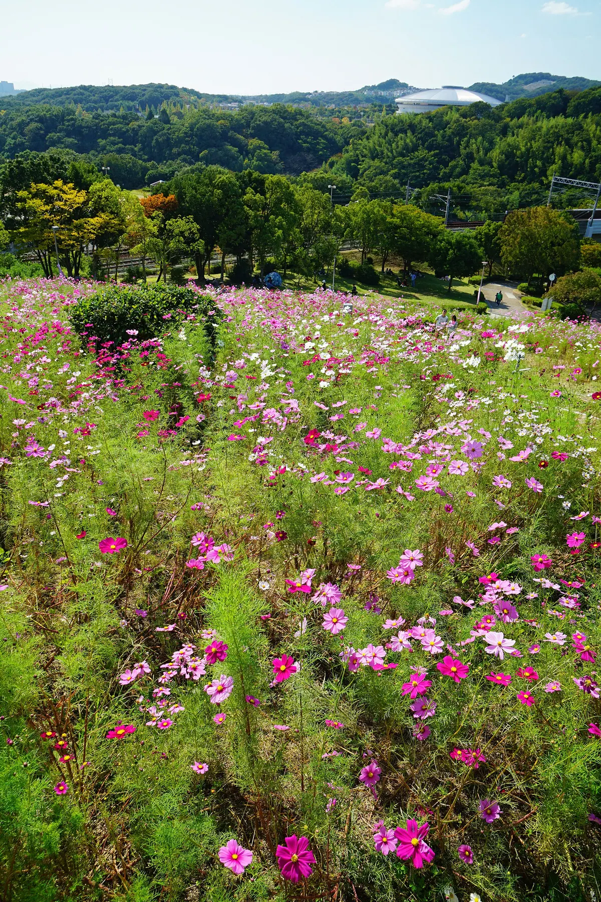 Kobe Sports Park