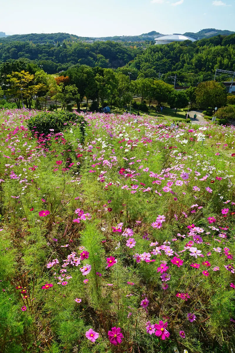 Kobe Sports Park