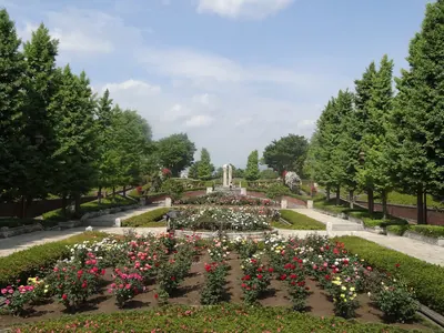 Akirudai Park