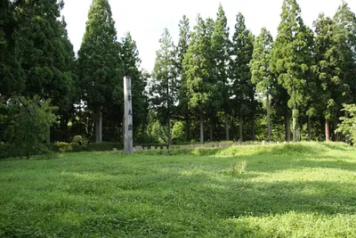 Tanesato Castle