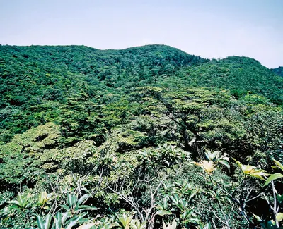 Inao Mount