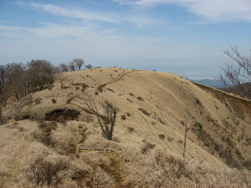 Mount Hōkisugisawanoatama