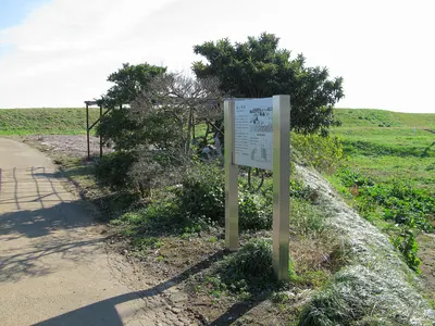 Shinoyama Shell Mound