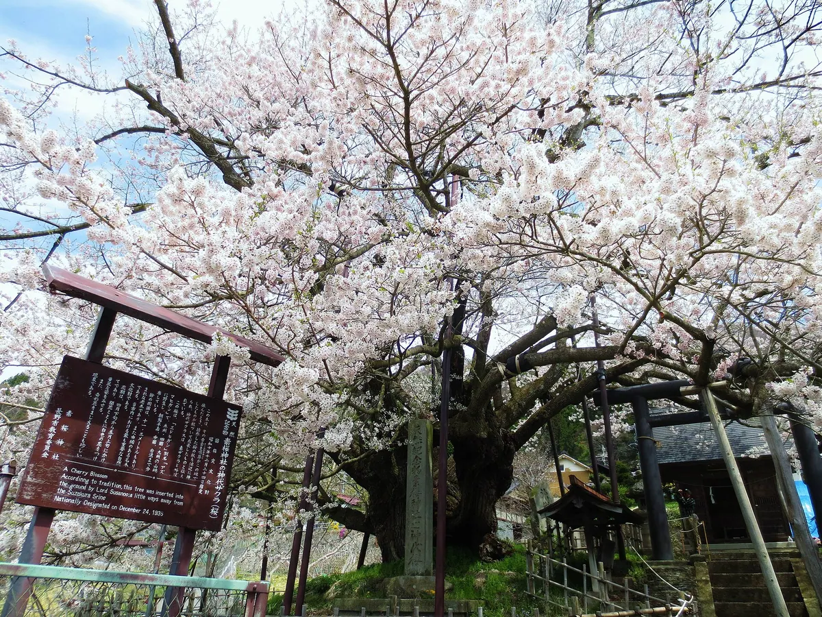 Suzakura Shrine
