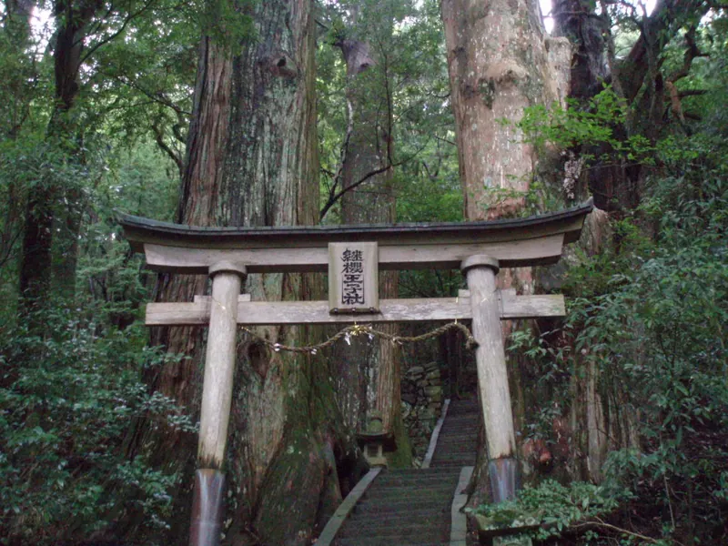 Tsugizakura Ōji Shrine
