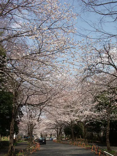 Midorigaoka Cemetery