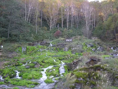 Chatsubomigoke Park