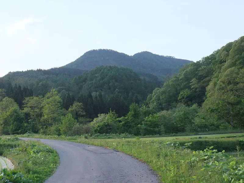 Haboya San