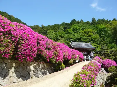 Senshuku-ji Temple
