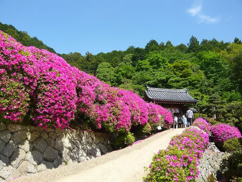 Senshuku-ji Temple