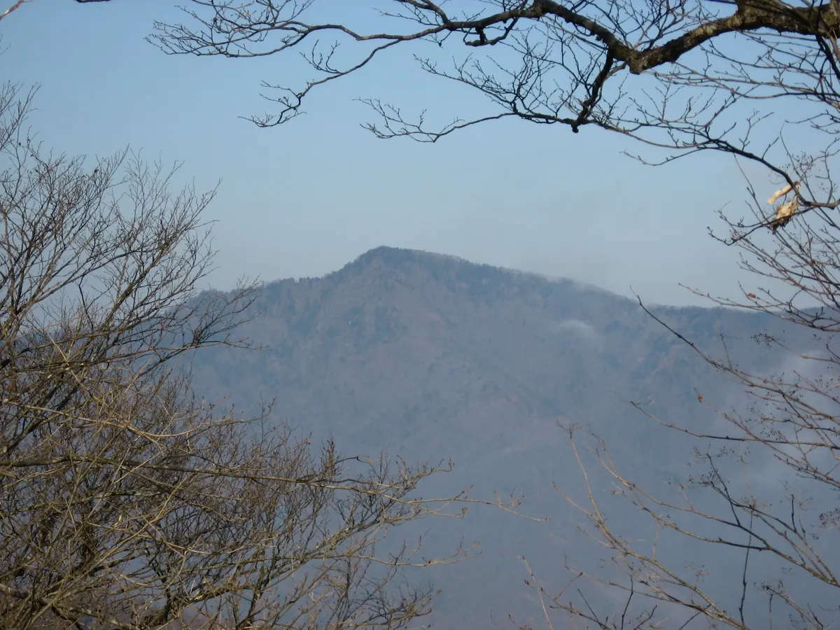 Imonoki Dokke
