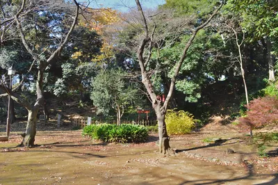 Shiba Maruyama Kofun