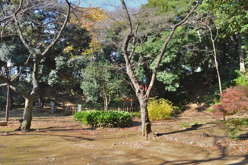 Shiba Maruyama Kofun