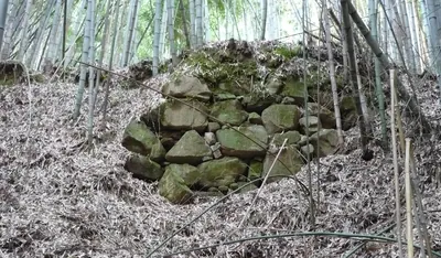 Akutagawayama Castle