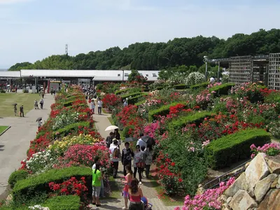 Flower Festival Commemorative Park