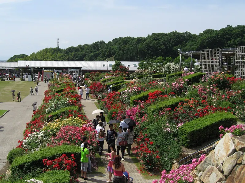 Flower Festival Commemorative Park