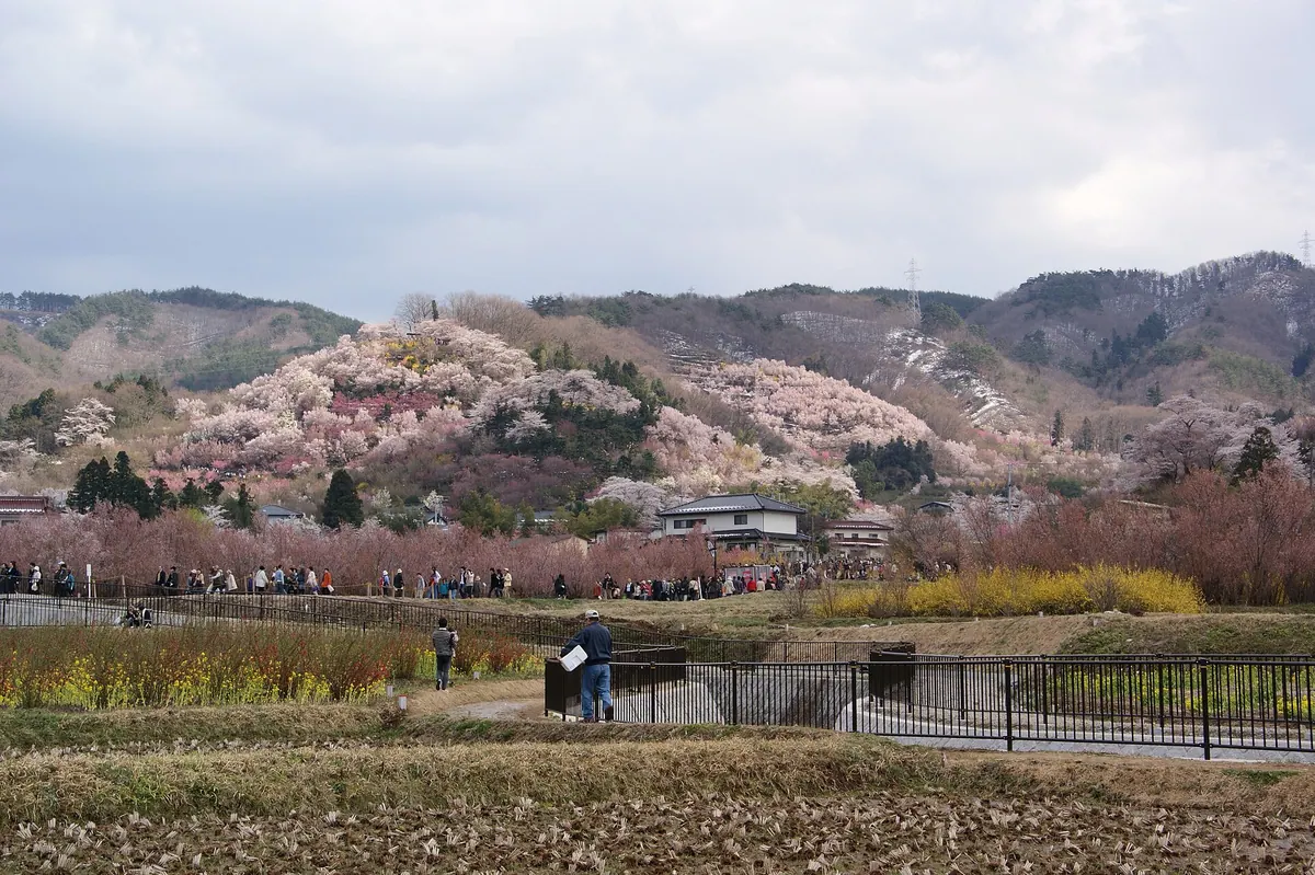 Hanamiyama Park