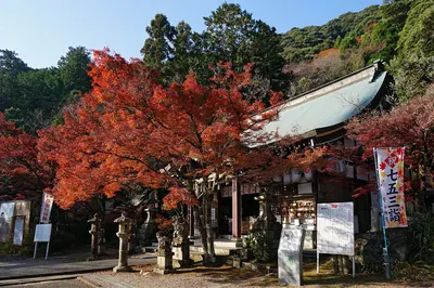 Wakayama Shrine