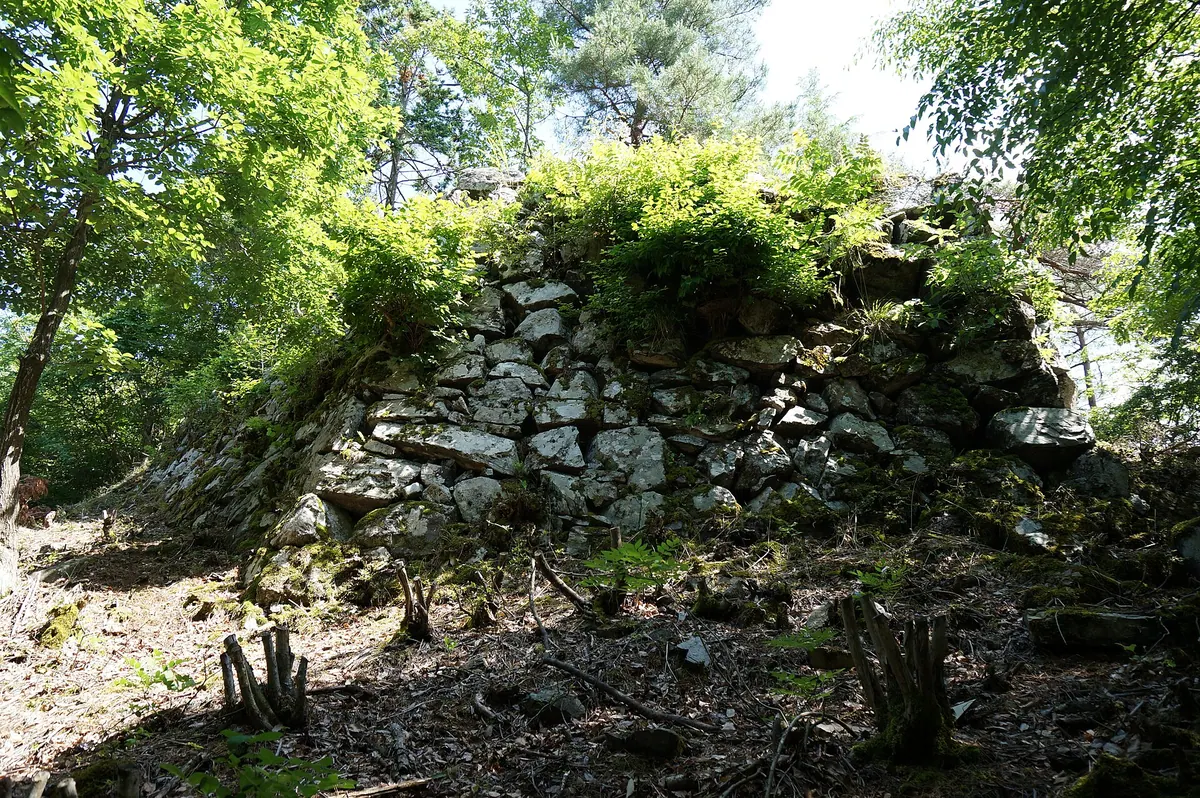 Wakasa Oniga Castle
