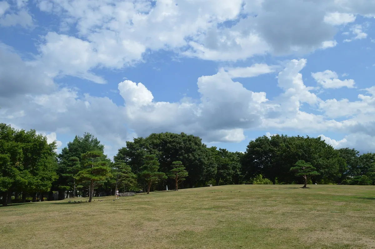 Wakasato Park