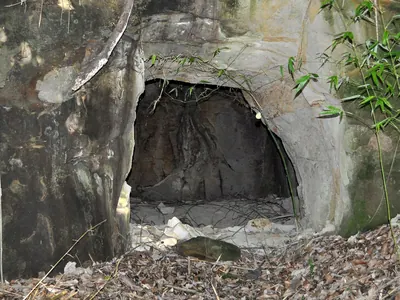 Ekoda Cave Tomb Cluster