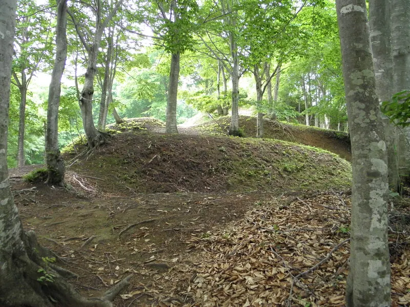 Arato Castle