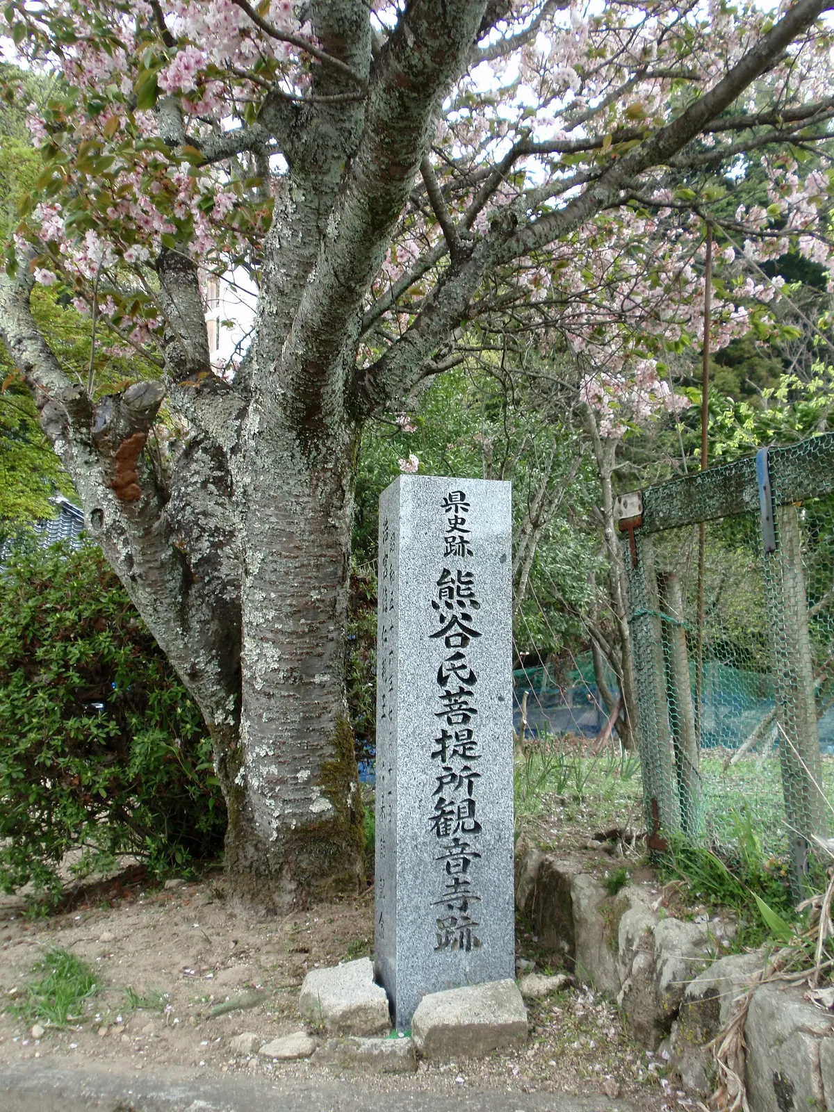 Bodaisho Kannon-ji Temple Ruins