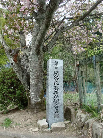 Bodaisho Kannon-ji Temple Ruins