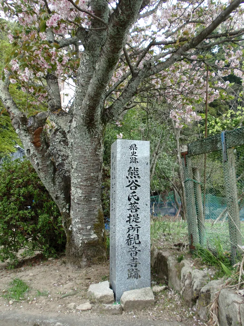 Bodaisho Kannon-ji Temple Ruins