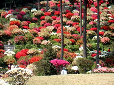 Yakuō-ji Temple