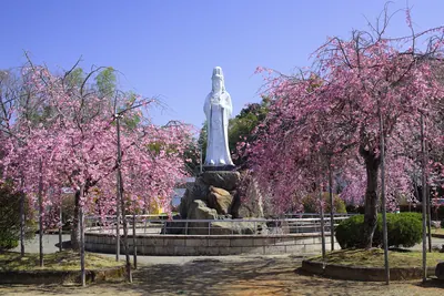 Kokei Park