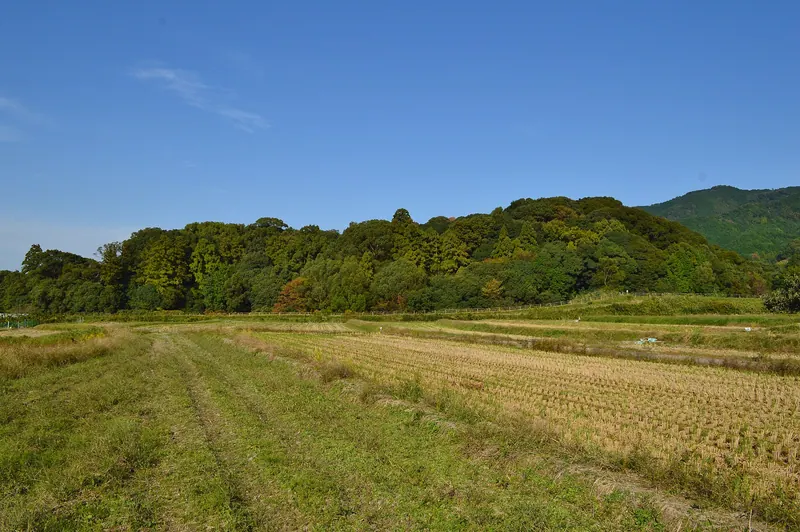Andon-yama Kofun