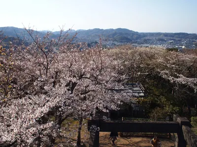Kinugasayama Park