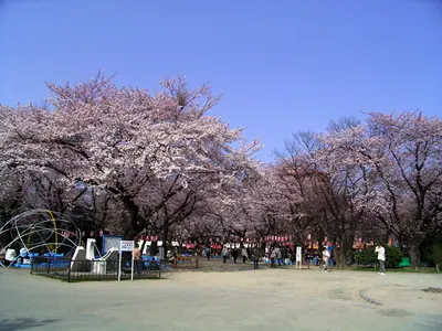 Nishi Park