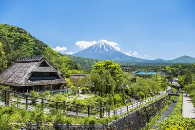 Saiko Iyashi no Sato Nenba
